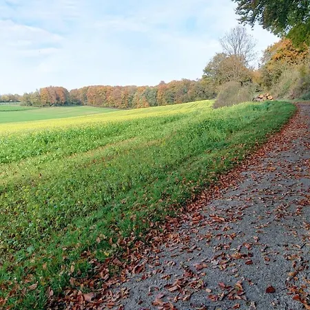 Haus Im Grunen Holiday home Billerbeck